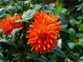 202402_FlowerDome-042