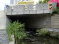 Cheonggyecheon_-106