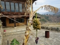 FruchbarkeitstempelChimiLhakhang-040