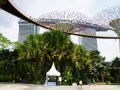 202402_GardenBay-025