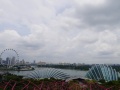 202402_GardenBay-031