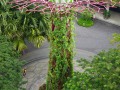 202402_GardenBay-113