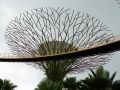 202402_GardenBay-129