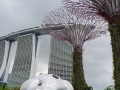 202402_GardenBay-135