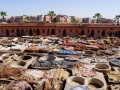 2023Marrakesh_Gerber-020