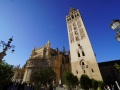 Sevilla-GiraldaCathedral-000