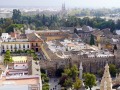 Sevilla-GiraldaCathedral-016