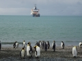 Jan2020_GoldHarbour-Southgeorgia-003