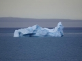 Jan2020_GoldHarbour-Southgeorgia-179