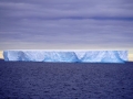 Jan2020_GourdinIsland_Antarctic-002