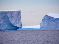Jan2020_GourdinIsland_Antarctic-003