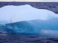 Jan2020_GourdinIsland_Antarctic-010