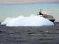 Jan2020_GourdinIsland_Antarctic-020