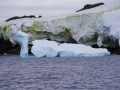 Jan2020_GourdinIsland_Antarctic-048