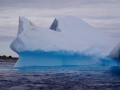 Jan2020_GourdinIsland_Antarctic-065