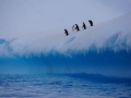Jan2020_GourdinIsland_Antarctic-068