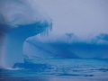 Jan2020_GourdinIsland_Antarctic-077