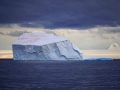 Jan2020_GourdinIsland_Antarctic-219