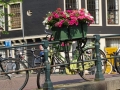 Amsterdam_May2018-156