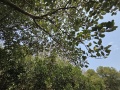 202504_1Sicao-013