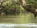 202504_1Sicao-034