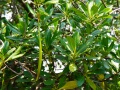 202504_1Sicao-068
