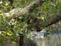202504_1Sicao-073