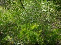 202504_1Sicao-080