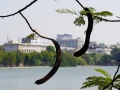 202210_Hanoi_HoanKiem-086