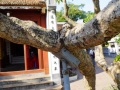 202210_Hanoi_HoanKiem-099