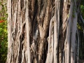202210_Hanoi_HoanKiem-113