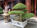 202210_Hanoi_HoanKiem-114