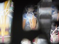 202210_Hanoi_WestLake_LiteratureT-026