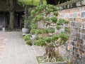 202210_Hanoi_WestLake_LiteratureT-066