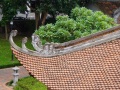 202210_Hanoi_WestLake_LiteratureT-100