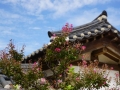 HanokVillageNamsangolSeoul2018-129