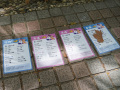 202610_HeiratsmarktVolksgartenShanghai-008