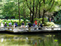202610_HeiratsmarktVolksgartenShanghai-061