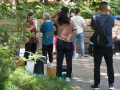202610_HeiratsmarktVolksgartenShanghai-064