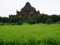 Bagan Dhammayangyi Tempel_Oct_2017 -006