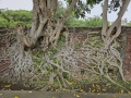 202504_HuashanKreativpark-042