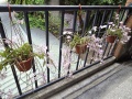 202504_HuashanKreativpark-066
