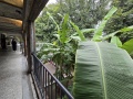 202504_HuashanKreativpark-067