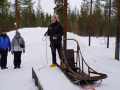202603_HuskySchlitten-002