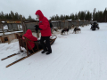 202603_HuskySchlitten-005