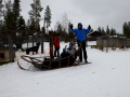 202603_HuskySchlitten-007