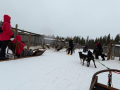 202603_HuskySchlitten-010