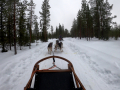 202603_HuskySchlitten-012