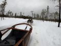 202603_HuskySchlitten-013
