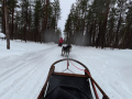 202603_HuskySchlitten-015